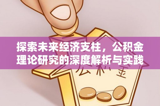 嫩江探索未来经济支柱，公积金理论研究的深度解析与实践意义