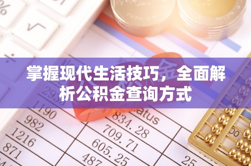 嫩江掌握现代生活技巧，全面解析公积金查询方式
