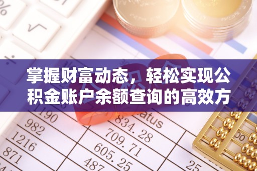 嫩江掌握财富动态，轻松实现公积金账户余额查询的高效方法