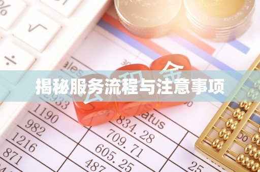 嫩江揭秘服务流程与注意事项