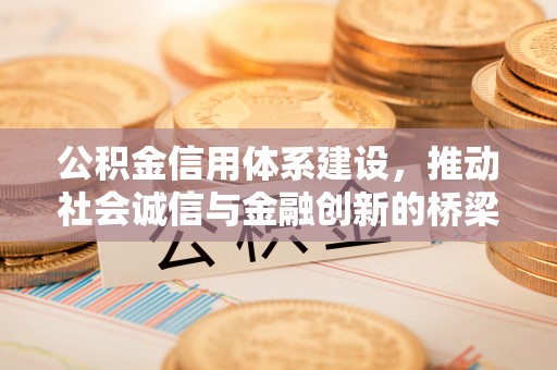 嫩江公积金信用体系建设，推动社会诚信与金融创新的桥梁