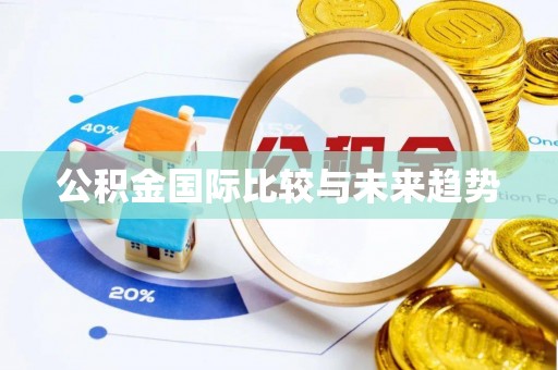 嫩江公积金国际比较与未来趋势