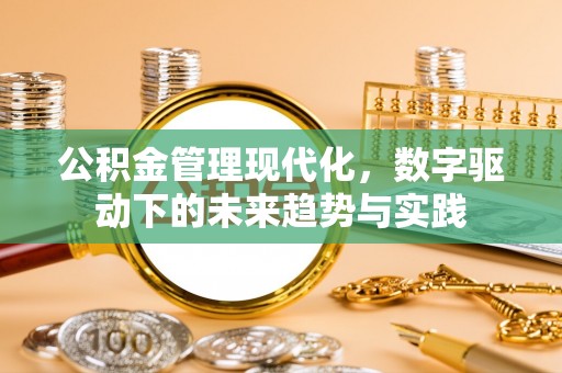 嫩江公积金管理现代化，数字驱动下的未来趋势与实践