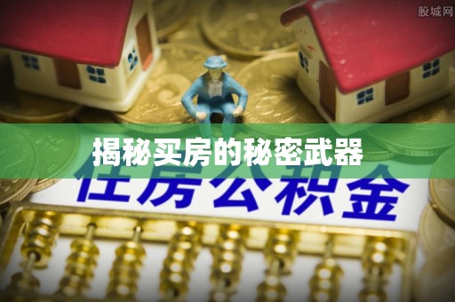 嫩江揭秘买房的秘密武器