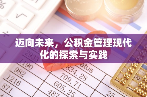 嫩江迈向未来，公积金管理现代化的探索与实践