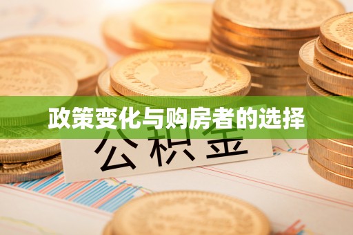 嫩江政策变化与购房者的选择