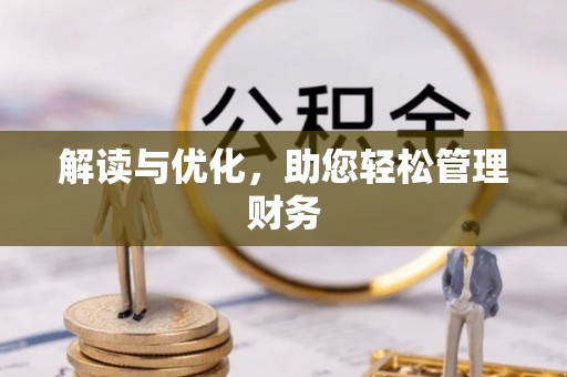 嫩江解读与优化，助您轻松管理财务