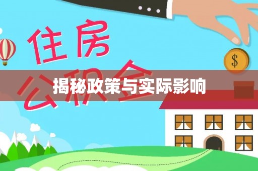 嫩江揭秘政策与实际影响