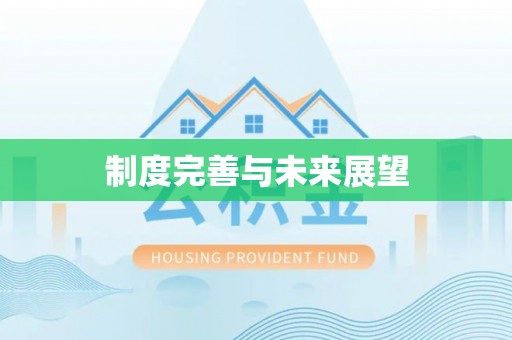 嫩江制度完善与未来展望