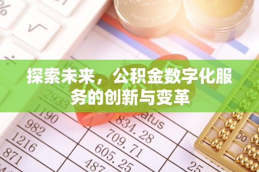 嫩江探索未来，公积金数字化服务的创新与变革