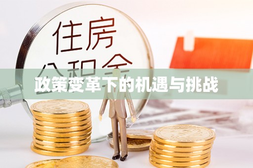嫩江政策变革下的机遇与挑战