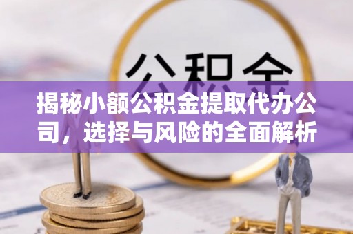 嫩江揭秘小额公积金提取代办公司，选择与风险的全面解析