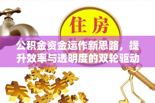 嫩江公积金资金运作新思路，提升效率与透明度的双轮驱动