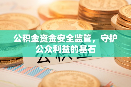 嫩江公积金资金安全监管，守护公众利益的基石