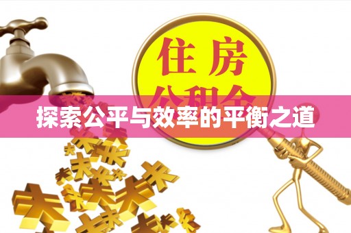 嫩江探索公平与效率的平衡之道