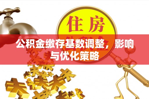 嫩江公积金缴存基数调整，影响与优化策略