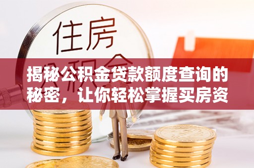 嫩江揭秘公积金贷款额度查询的秘密，让你轻松掌握买房资金规划