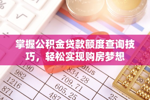 嫩江掌握公积金贷款额度查询技巧，轻松实现购房梦想