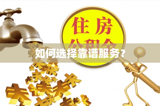 嫩江如何选择靠谱服务？