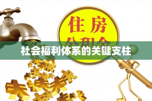 嫩江社会福利体系的关键支柱