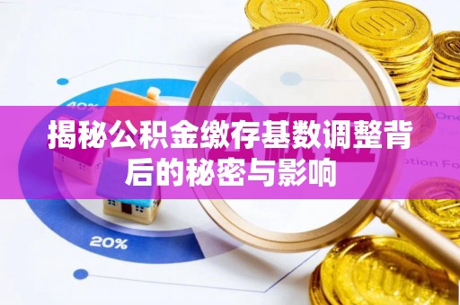 嫩江揭秘公积金缴存基数调整背后的秘密与影响