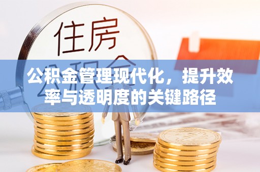 嫩江公积金管理现代化，提升效率与透明度的关键路径