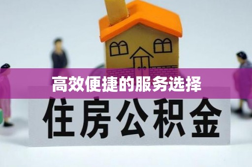 嫩江高效便捷的服务选择